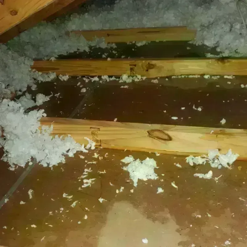 Attic Water Damage in Hobart, WA